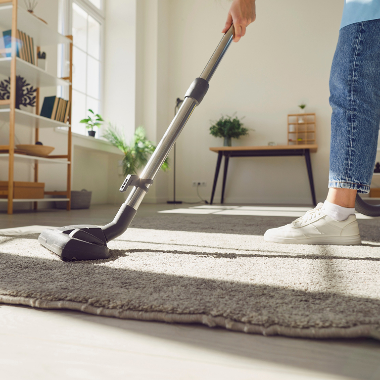 Domestic-Support-img